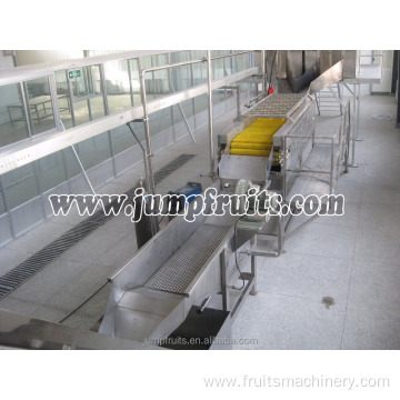 Banana jam powder making processing machine